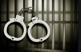 मोगा पुलिस ने लूट-ठगी गिरोह का किया पर्दाफाश, चार महिलाएं गिरफ्तार